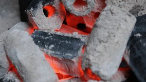 CHARCOAL SUPPLIER INDONESIA