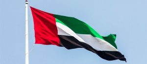 coconut charcoal briquettes supplier UAE